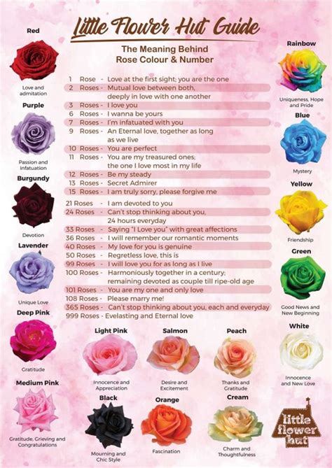 520 flowers meaning|number of roses significance.